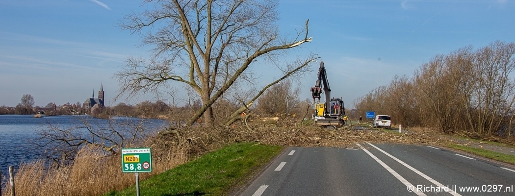 Grote verkeershinder N201 door kappen zieke bomen
