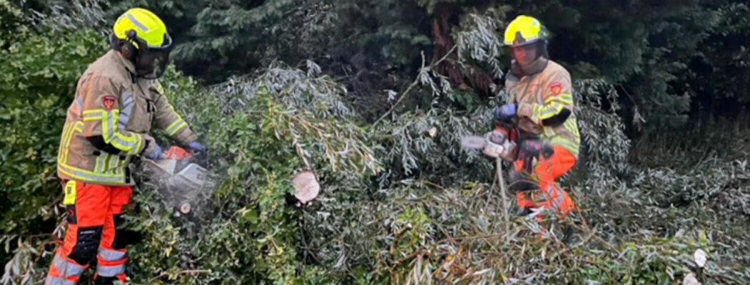Harde wind blaast boom om in Waverveen