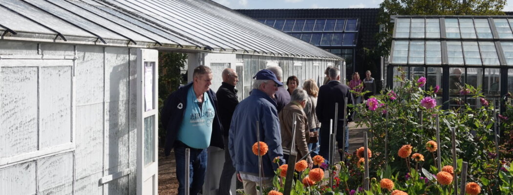 Drie activiteiten in Historische Tuin komend weekend