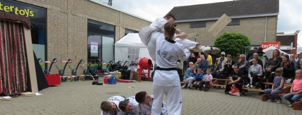 Taekwondo demo op straattheaterfestival