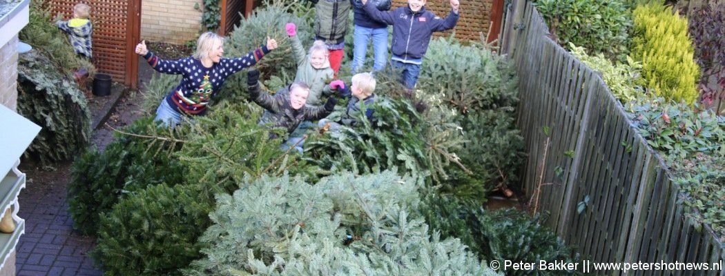 Vinkeveners halen ruim 200 kerstbomen op voor gemeente