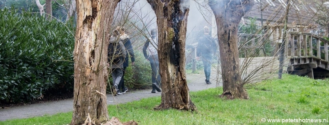 Brandweer blust brandende boom in Vinkeveen
