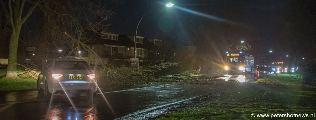 Automobilisten ontsnappen aan omvergewaaide boom Reigerstraat Vinkeveen