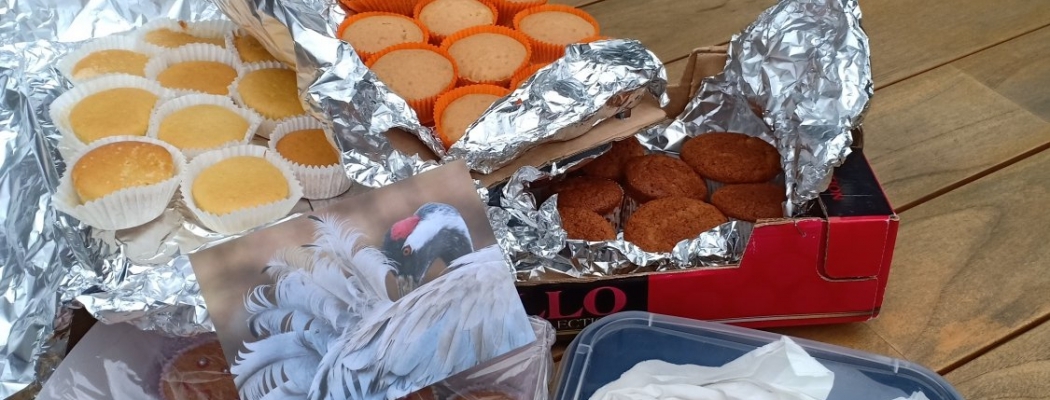 Rotary bakt cupcakes voor Merenhof Abcoude