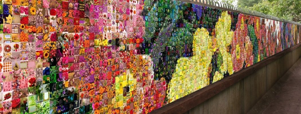 Help het Flower Art Museum en AlexP met de Wall of Flowers