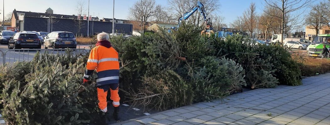 Inzameling kerstbomen Aalsmeer en Kudelstaart op 8 en 9 januari