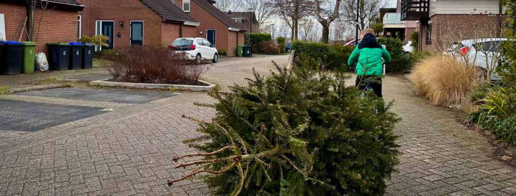 Inleveren kerstbomen woensdag 7 januari 2026