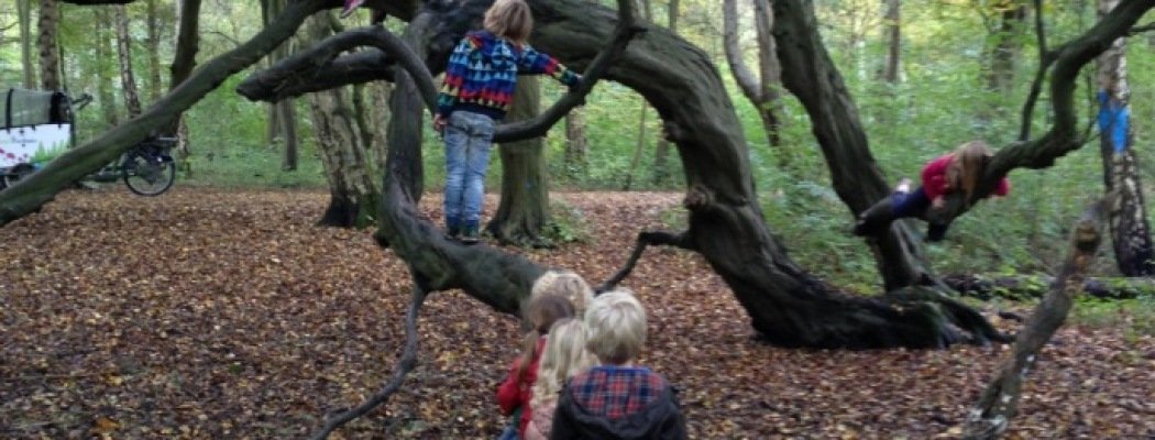 IVN-lezing Kinderen en natuur – natuurlijk goed