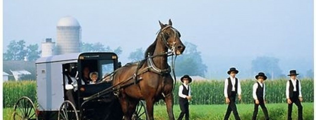 Bijeenkomst gewijd aan Amish en Mennonieten