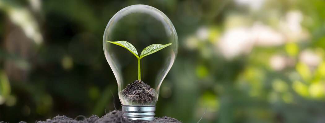 Gemeente stelt uitvoeringsagenda duurzaamheid vast