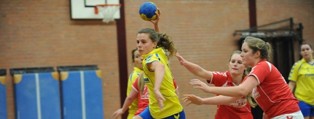 Legmeervogels handbal start met 3 damesteams