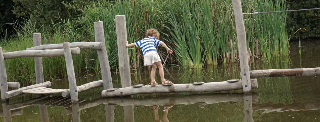 Vol Avontuur bij Fotoworkshop De Ronde Venen