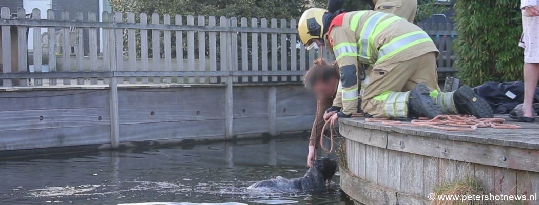 Brandweer haalt doodvermoeide hond uit water bij Abcoude