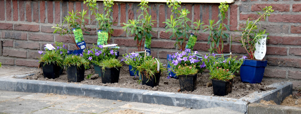 Samen voor meer groen: Uithoorn wipt 4.063 tegels