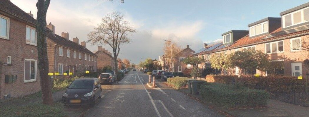 Gemeente Aalsmeer investeert €200.000 extra in bomen