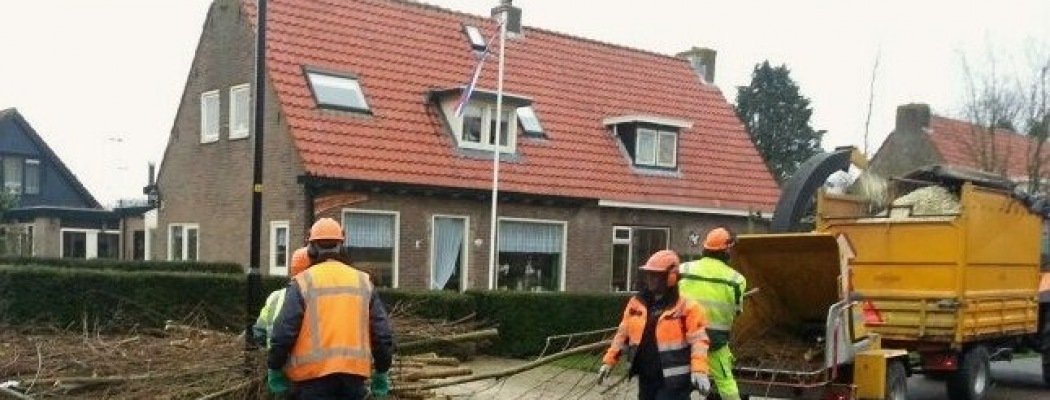Bewoners Wilgenlaan in Aalsmeer knotten zelf de wilgen
