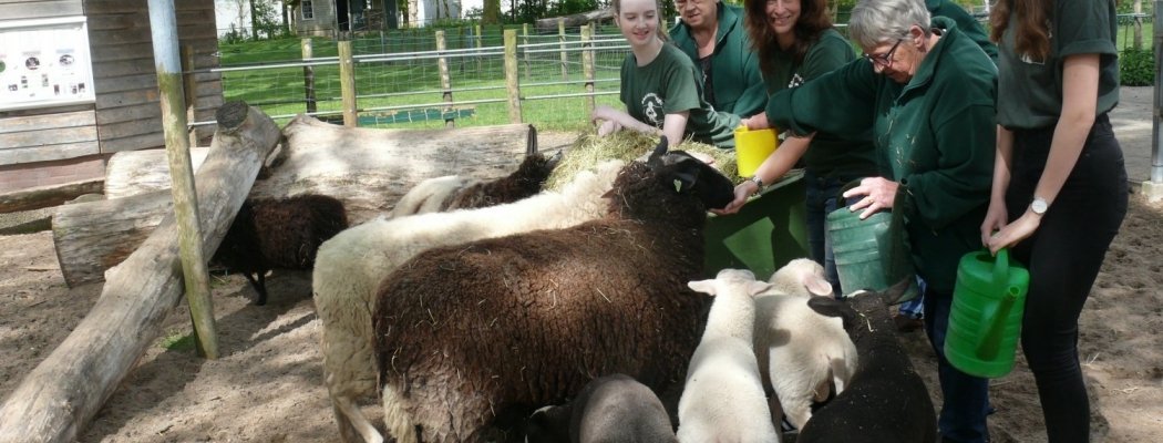 Feestelijke voorjaarsmarkt op kinderboerderij Aalsmeer