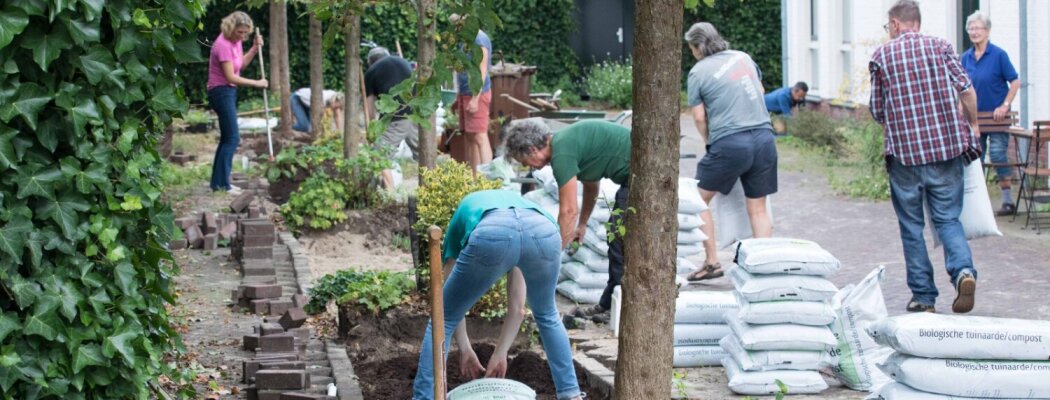 Aan de slag met Groen aan de Buurt voor een groenere wijk