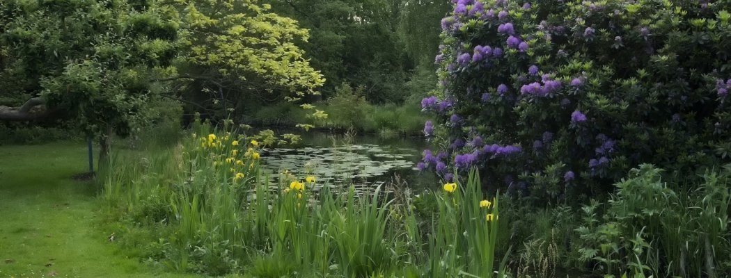 Tuin van Bram de Groote in Uithoorn genomineerd voor Roel de Wit prijs
