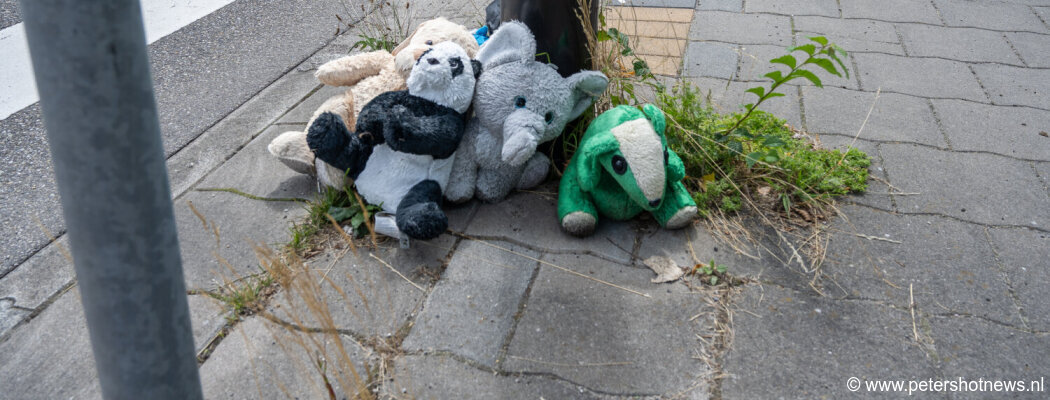 Zacht protest op een harde plek: knuffels waarschuwen voor gevaarlijk zebrapad