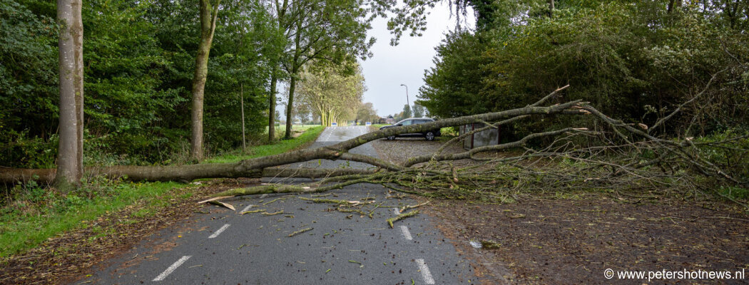 Boom valt over weg in De Hoef