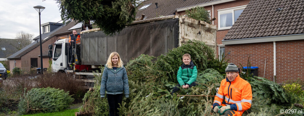 Bijna 5000 kerstbomen opgehaald in De Ronde Venen