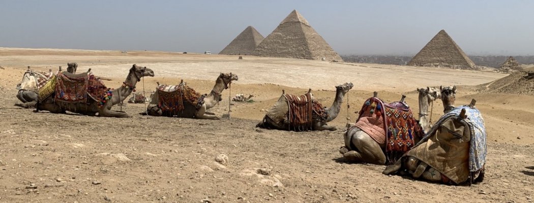 Sterke verbeteringen toerisme Egypte