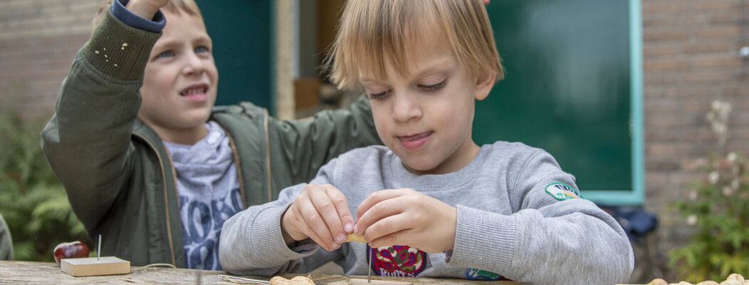 Activiteit ‘maak je eigen vogelparadijs’ bij De Woudreus op 4 februari