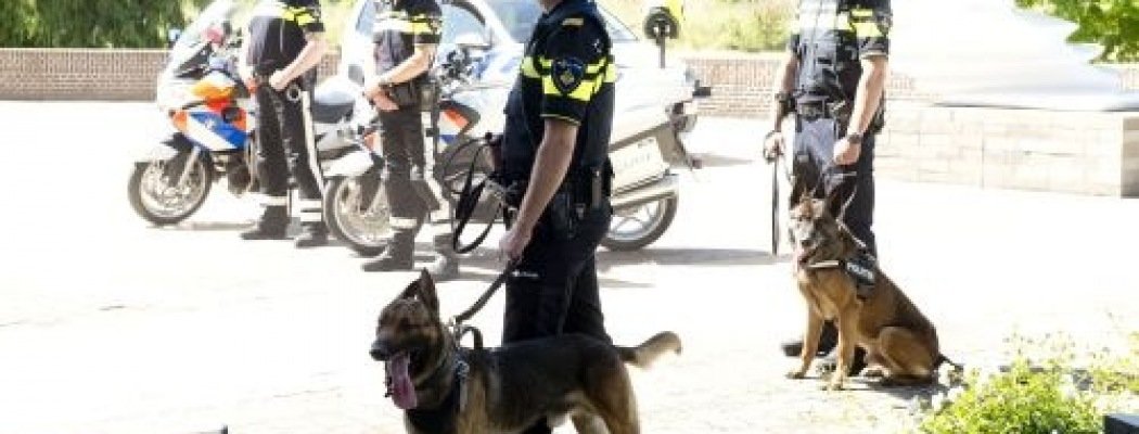 Hond geslagen in Vinkeveen: politie zoekt getuigen