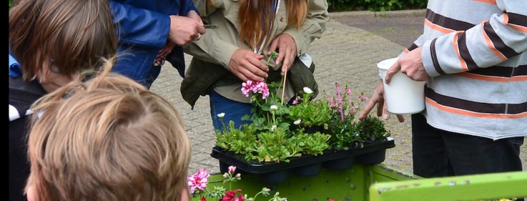 Scouting Jan van Speyk verkoopt weer plantjes!