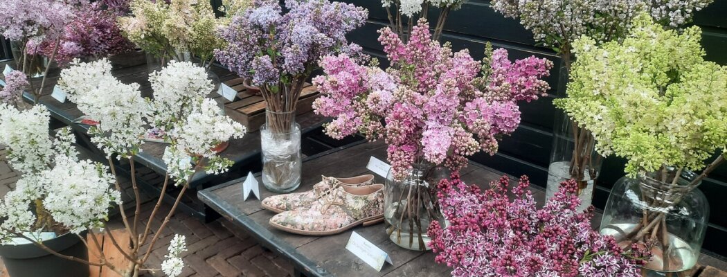 Historische Tuin opent met feestelijk Seringenweekend