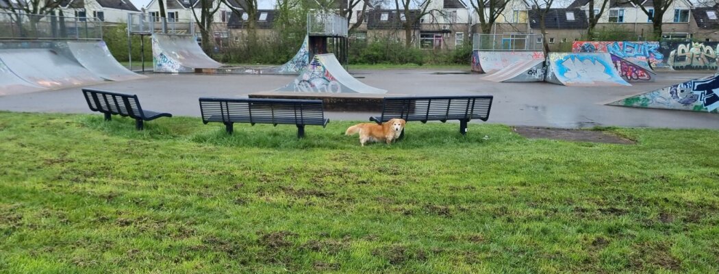 Ideeën uit de buurt voor vernieuwing skatepark en omgeving