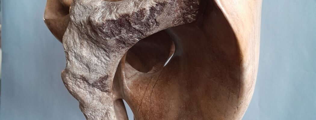 Abstractie, Kleur en Organische vormen