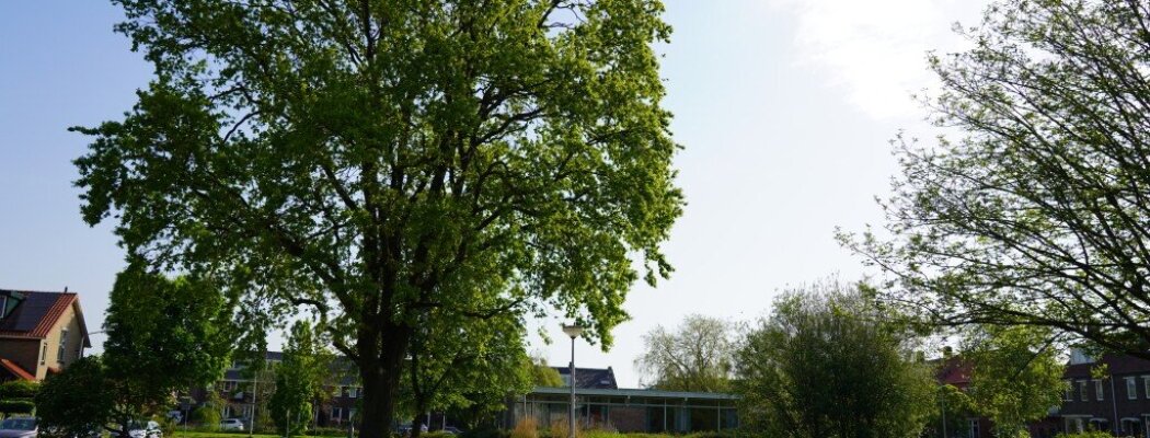 Meedenken over groen in uw buurt van start