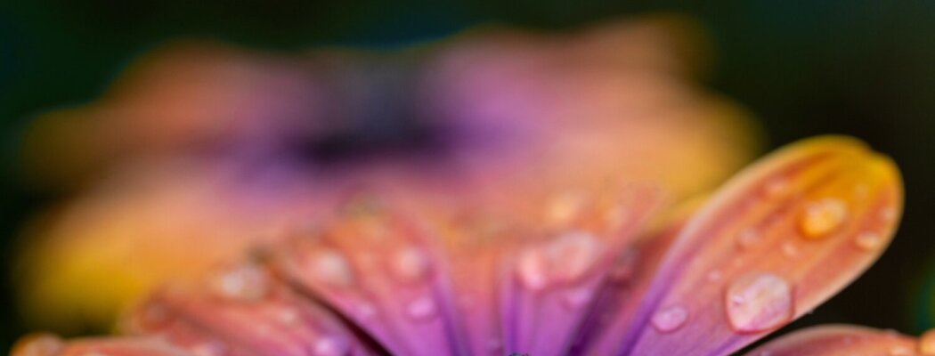 Start nieuw seizoen bij Fotoworkshop De Ronde Venen