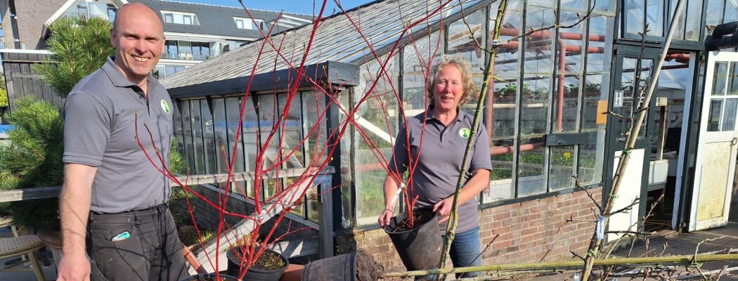 Zaterdag 21 maart verkoopdag bij Historische Tuin+