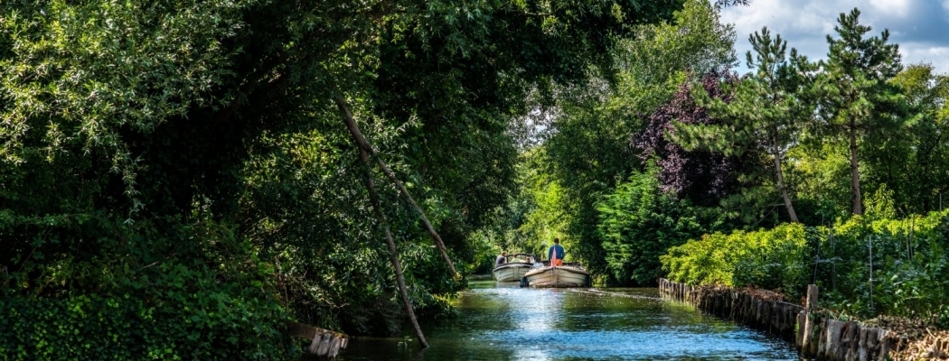 Meer bloemen en water zichtbaar in de buitenruimte