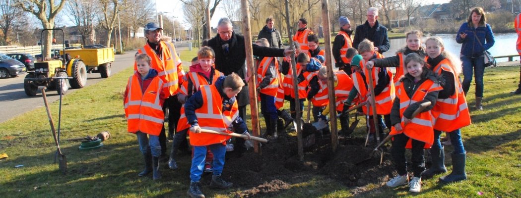 Wethouder Verburg plant bomen met leerlingen school De Graankorrel