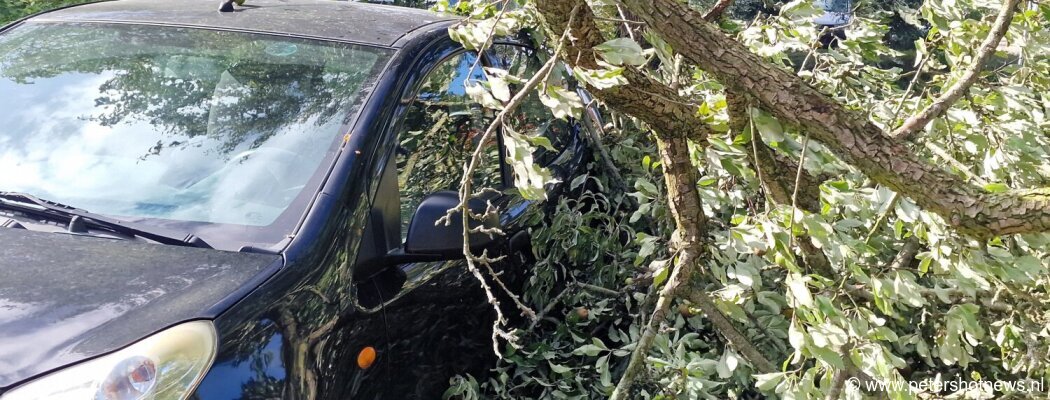Boom valt op auto in Mijdrecht