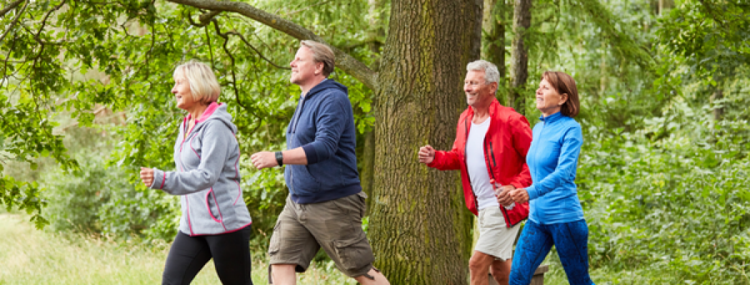 Wandel mee met de Zomersoepwandeling in Wilnis
