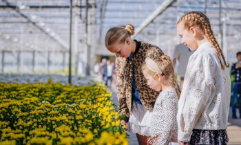 Deze zes kwekers in regio Aalsmeer openen hun deuren tijdens Kom in de Kas