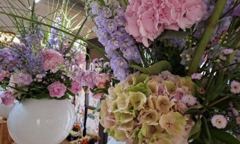 Voorbereidingen Aalsmeer Flower Festival in volle gang