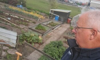Volkstuincomplex  nieuw leven inblazen door initiatief te starten