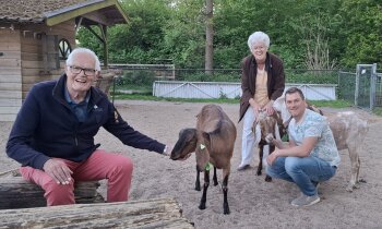 Drie jubilarissen gehuldigd bij vrijwilligersavond Boerenvreugd