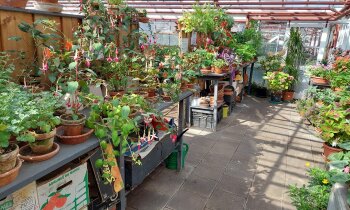 Verkoopdag Najaar en laatste openingsdag bij Historische Tuin