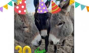 Boerenvreugd viert 30 jarig bestaan