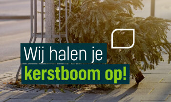 Klaar met de kerstboom? Leg de boom bij een aanbiedlocatie