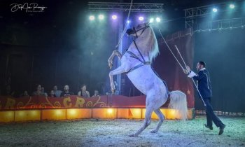 Circus Renz Berlin komt naar Uithoorn
