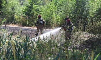 Brand in bosschage recreatiepark Hornmeer snel onder controle