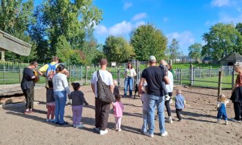 Zonnige Dierendag bij Kinderboerderij Boerenvreugd